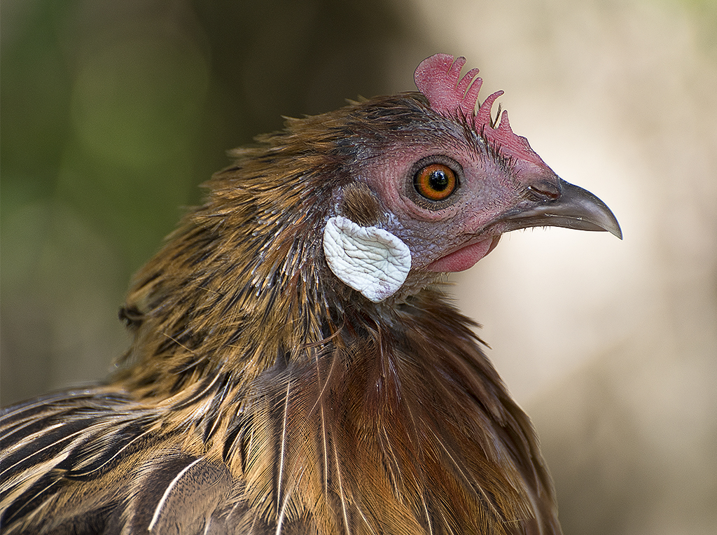 Schleswig Holstein Ostsee 09_2015 KA7_4611 als Smartobjekt-1 Kopie.jpg